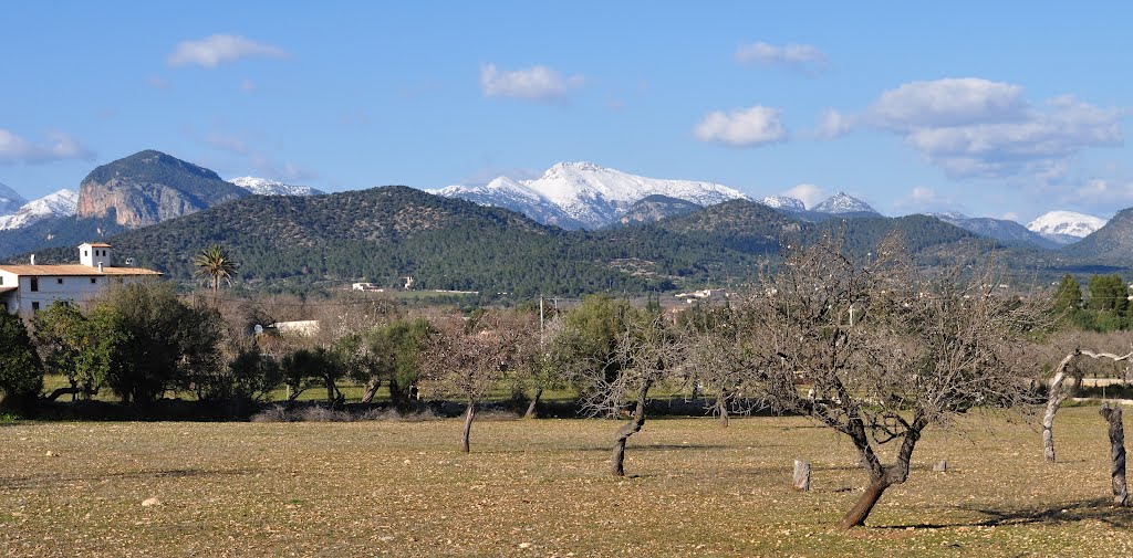 Serra de Tramuntana by maiermo