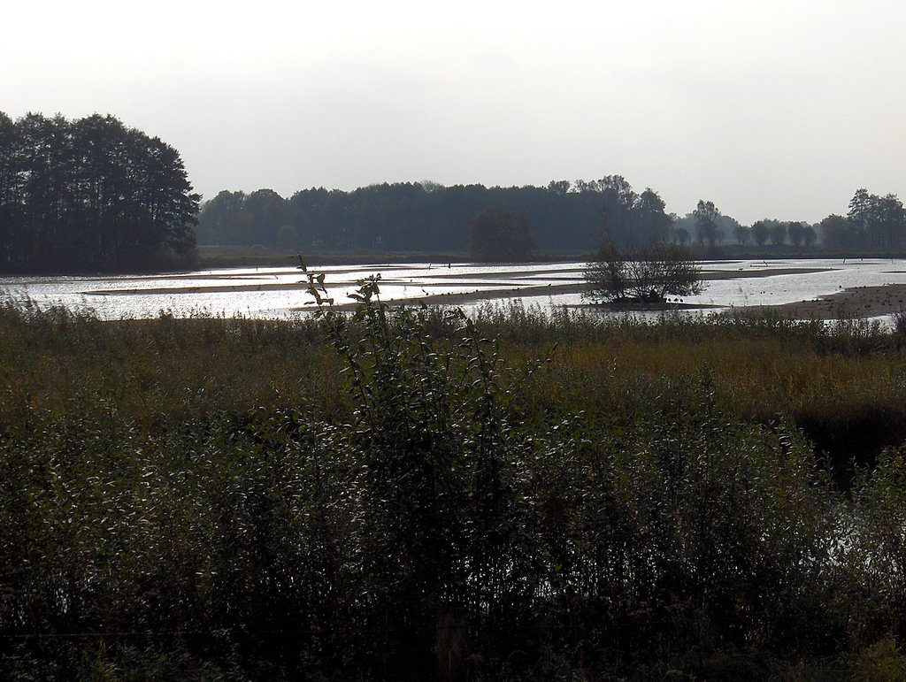 Steinhorster-Becken by Gerhard und Marianne