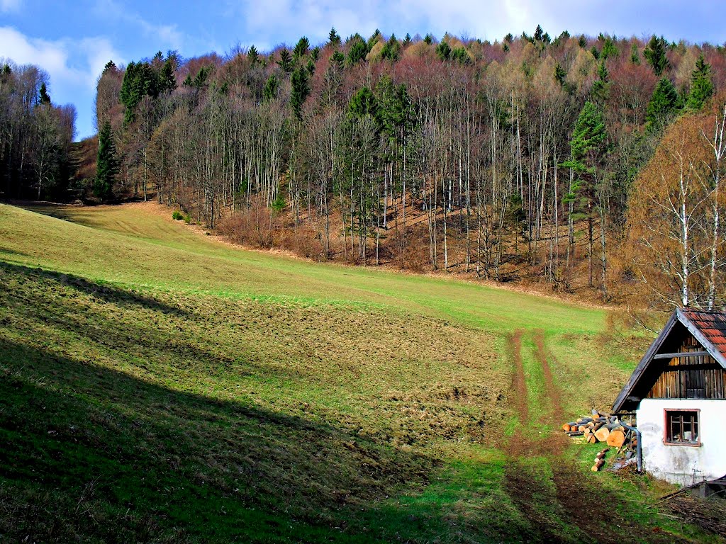 Házikó a hegy lábán..Lodge at the foot of the mountain by Kaszás Gyula