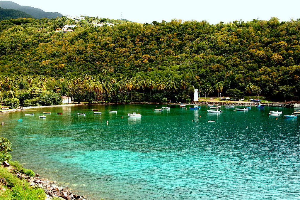 Guadeloupe (Anse à la Barque) by Claude Roussel-Dupré