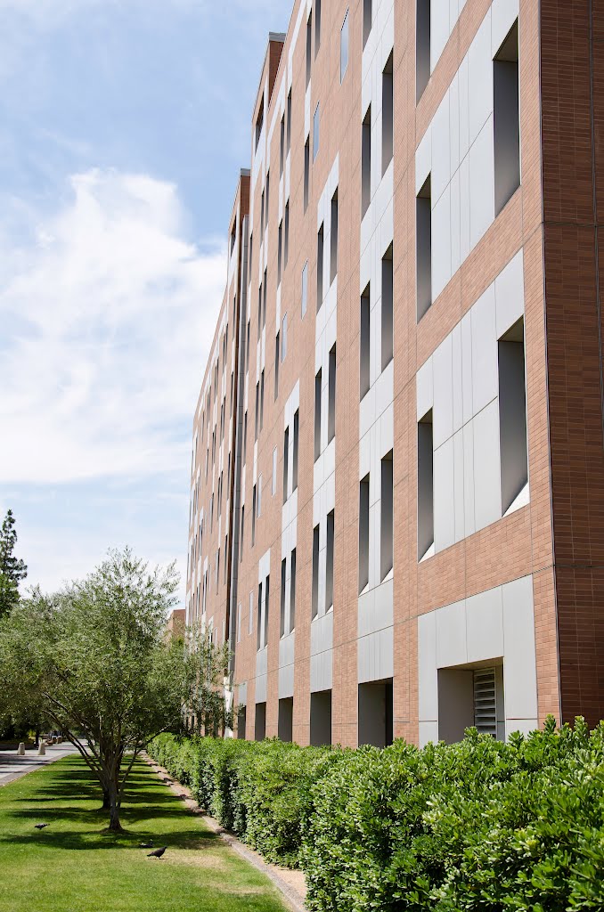 Architecture, Arizona State University Campus, Tempe, Arizona by davidpinter