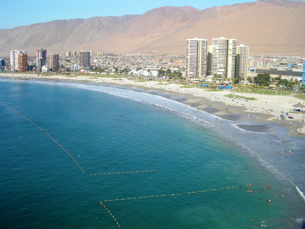 Iquique-Playa Cavancha by donartur