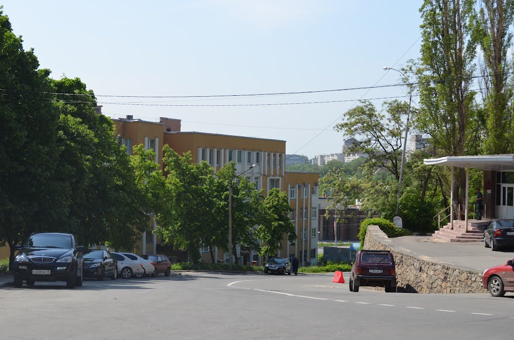 Russia. Lipetsk (73113649) by Viktor Bakhmutov