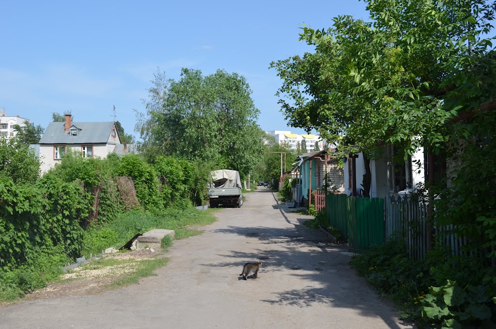 Russia. Lipetsk (73115631) by Viktor Bakhmutov