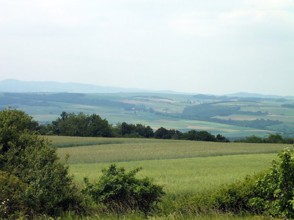 Blick über das Maifeld auf die Eifel, vom Schwalberstieg aus by ©Tøm1