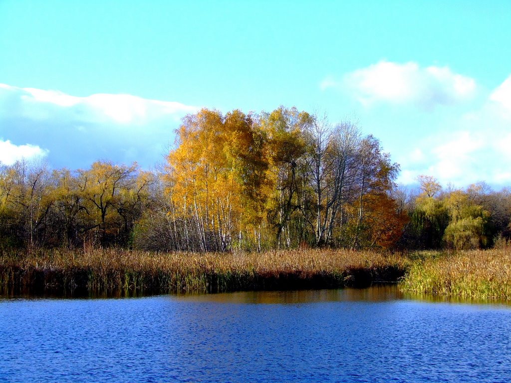 Sás-tó by Mádi József