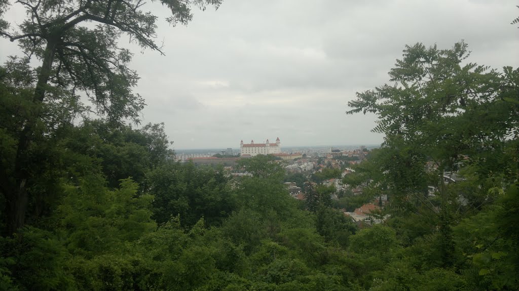 Bratislava Castle by Juraj Šoltés (1977)