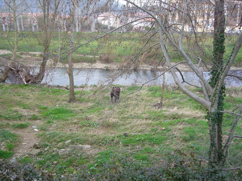 Río Asón. Ramales. by J. D. F.