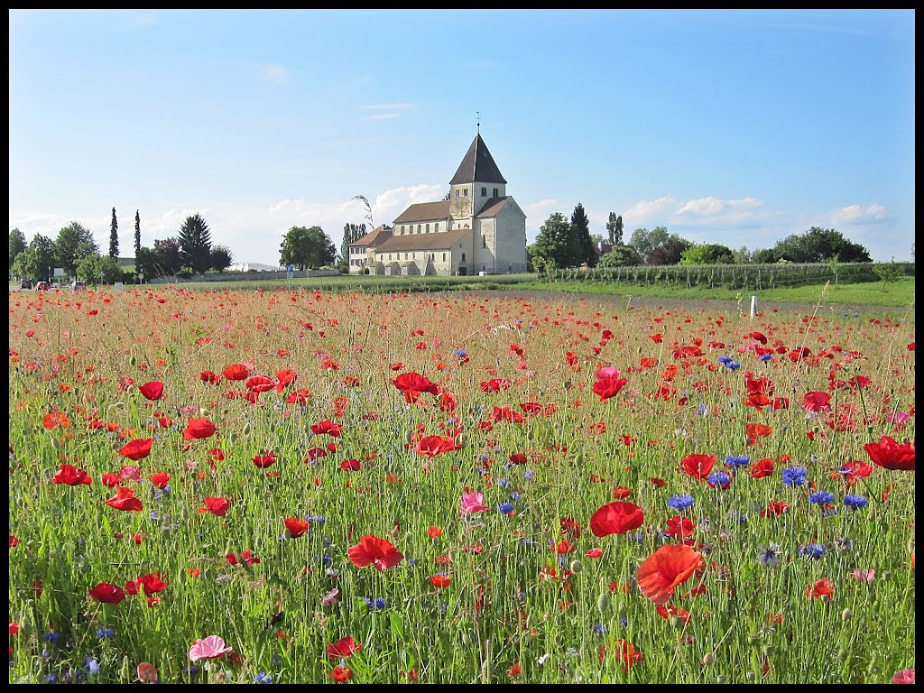 St. Georg auf der Reichenau by baliagent