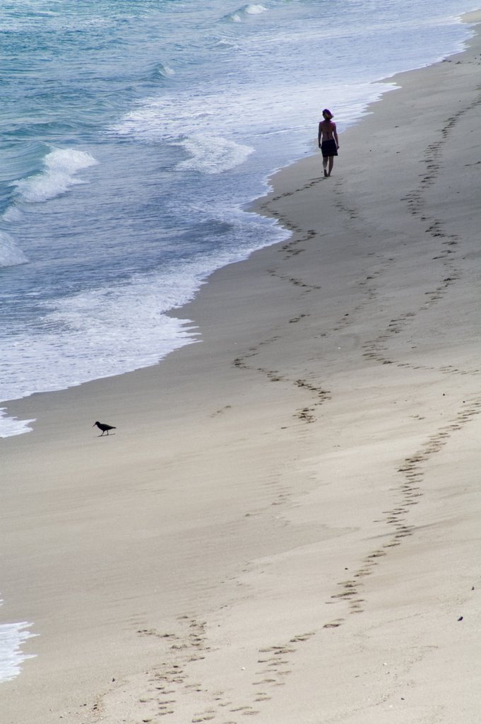 Paradise Beach by Martin Webb