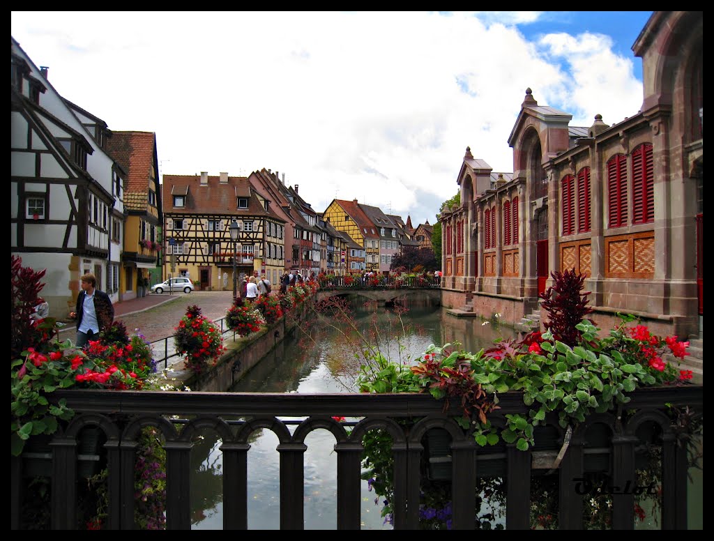 El Canal visto desde el puente by Odelot