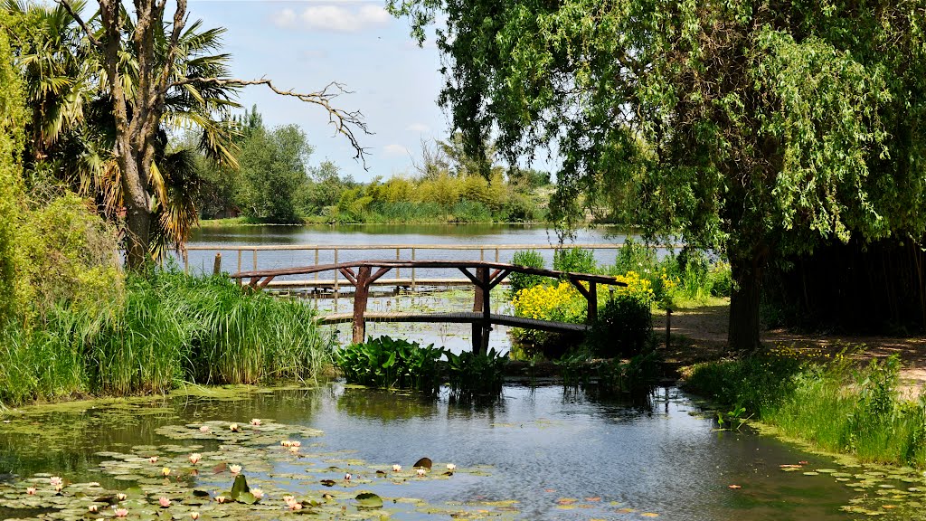 Le jardin de la cour d'Aron by markjone