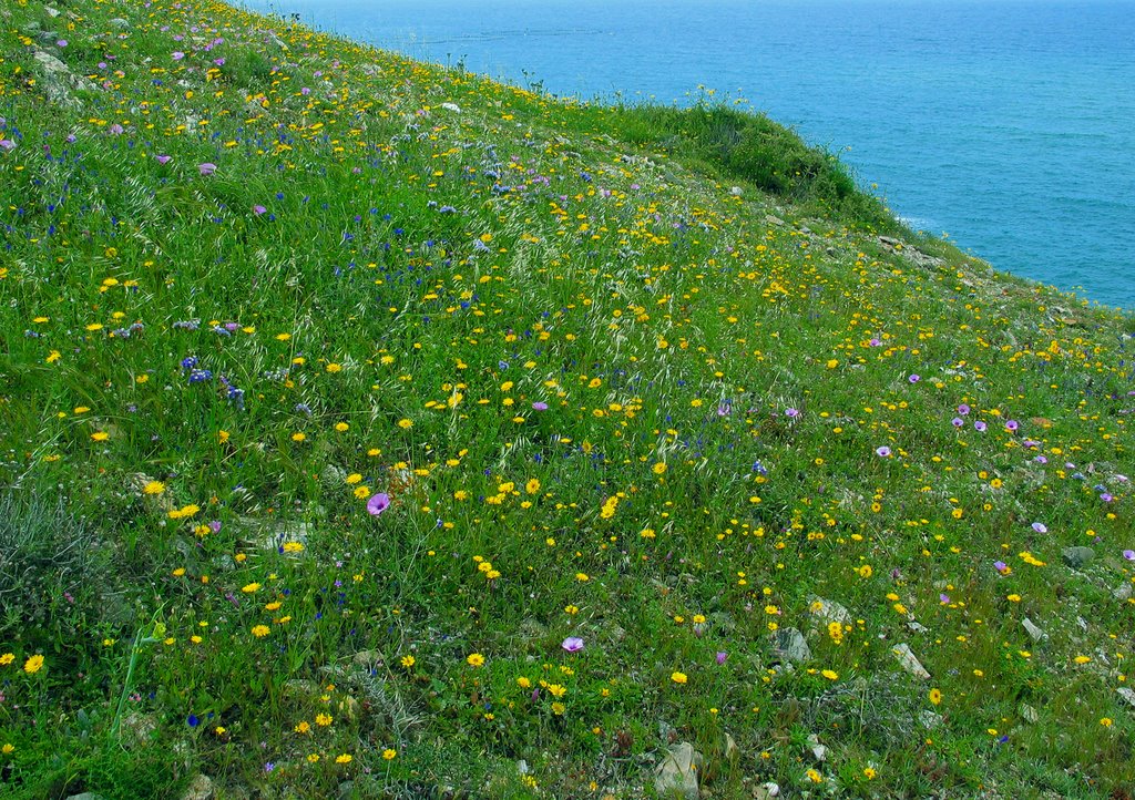 Primavera en La Chapa by Pepe Triton