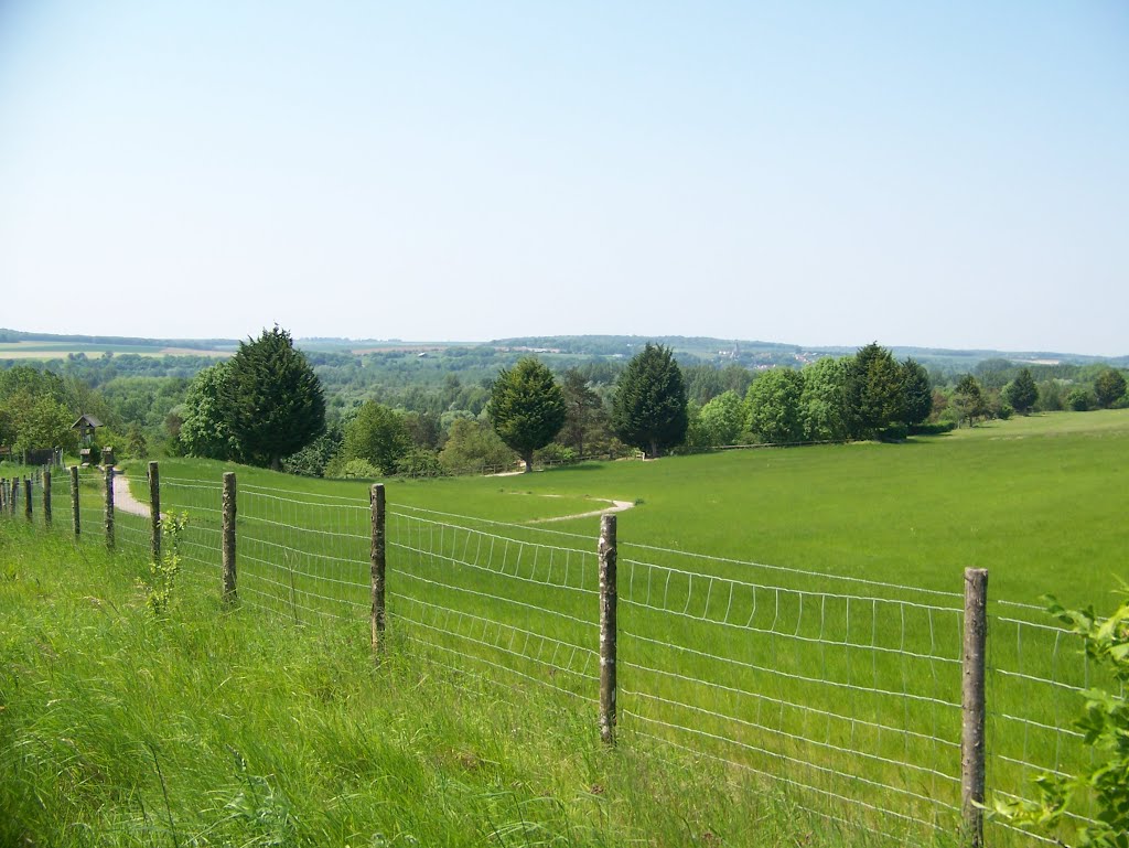 Vue de l'oppidum gallo-romain sur le parc de Samara by Christophe LACROIX