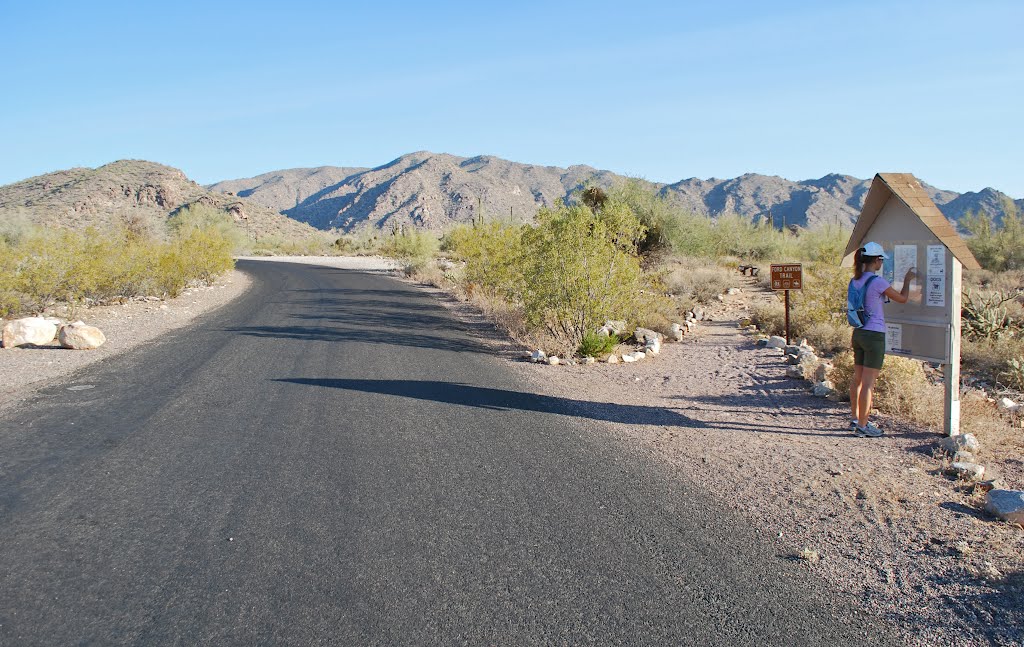 Ford Canyon Trail, White Tank Regional Park, AZ by bobbudi