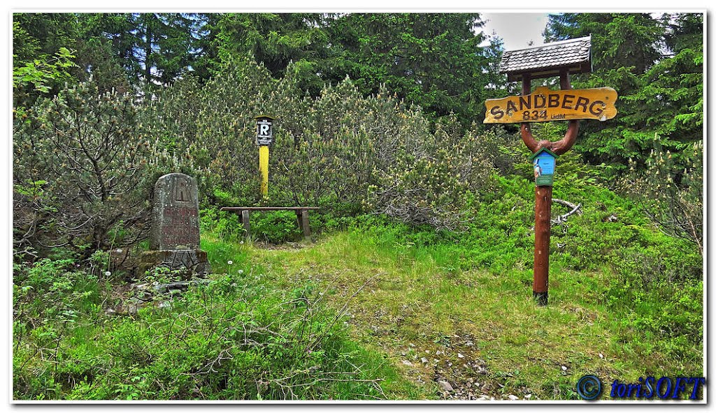 Sandberg (834m) bei Steinheid by toriSOFT