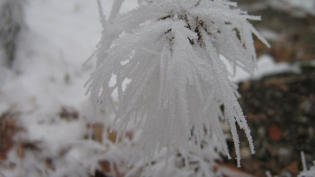 Winter in Sljeme by kikirikitrip