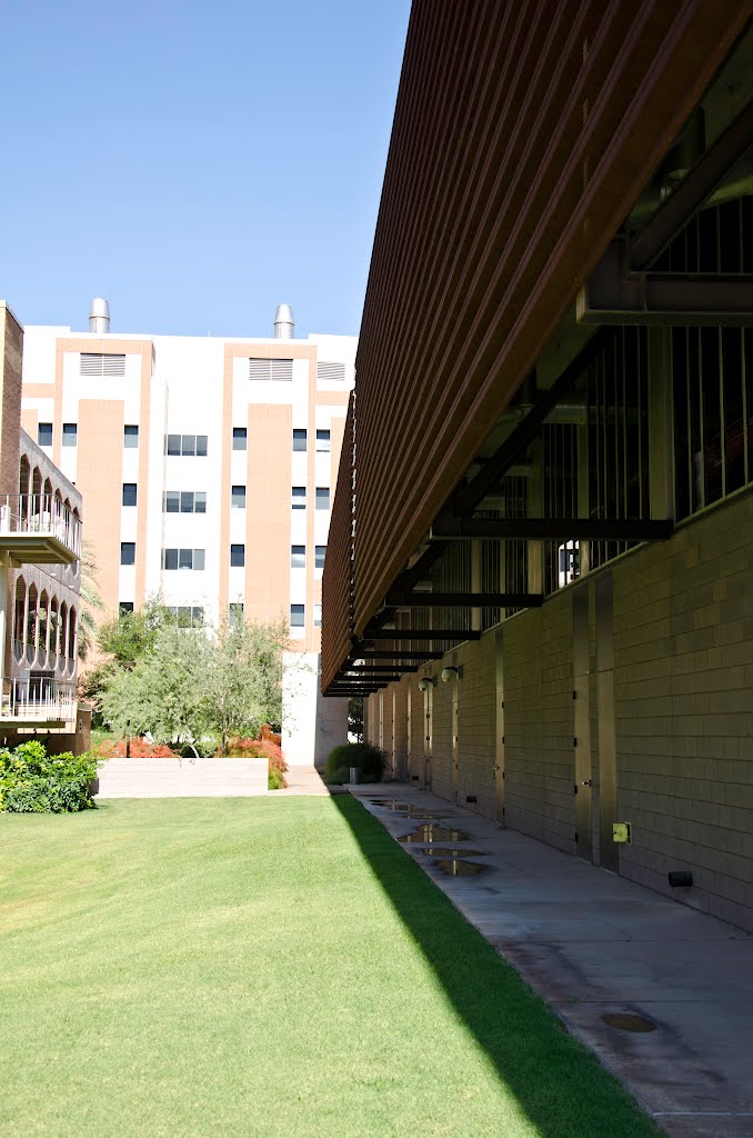 Architecture, Arizona State University Campus, Tempe, Arizona by davidpinter