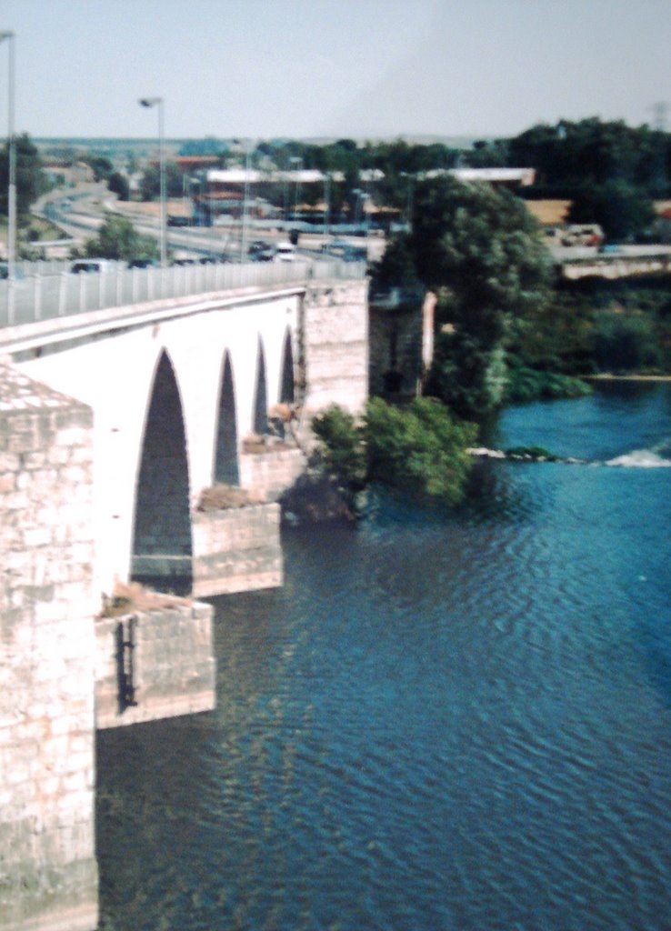 Tordesillas - Ponte sobre o Duero (1989) by Sidnei