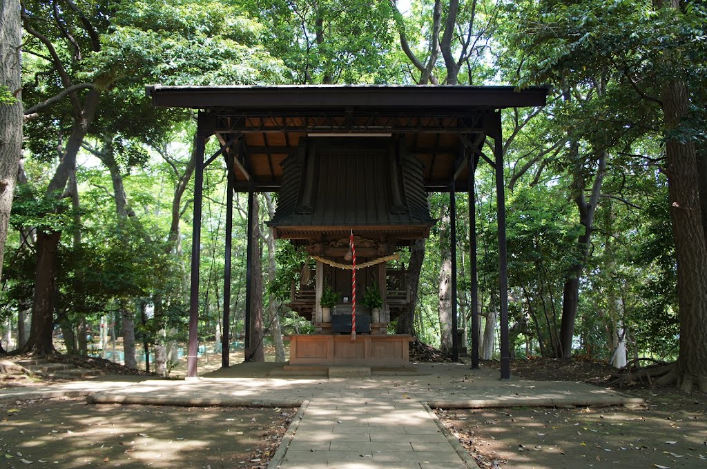 八坂神社 -Yasaka Shrine- by Saruman8000