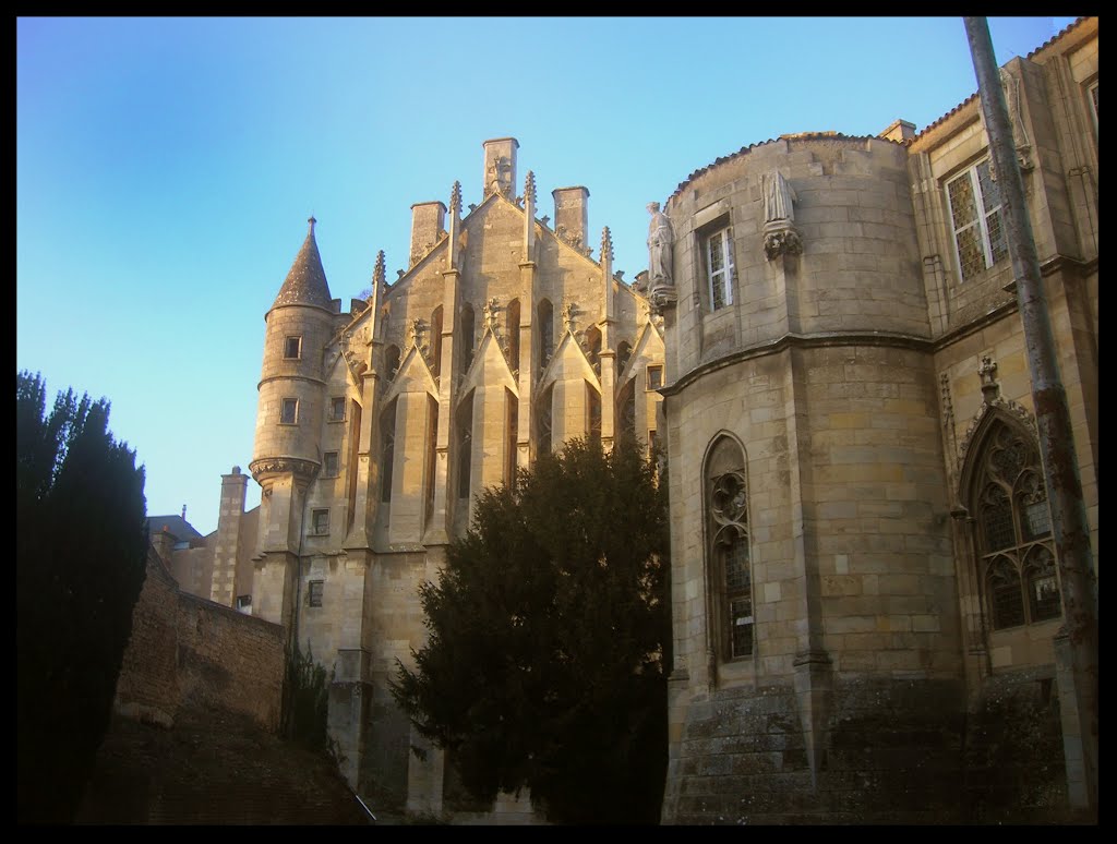 Palais des comtes de Poitou-ducs d'Aquitaine. by Mathieu des Planteurs