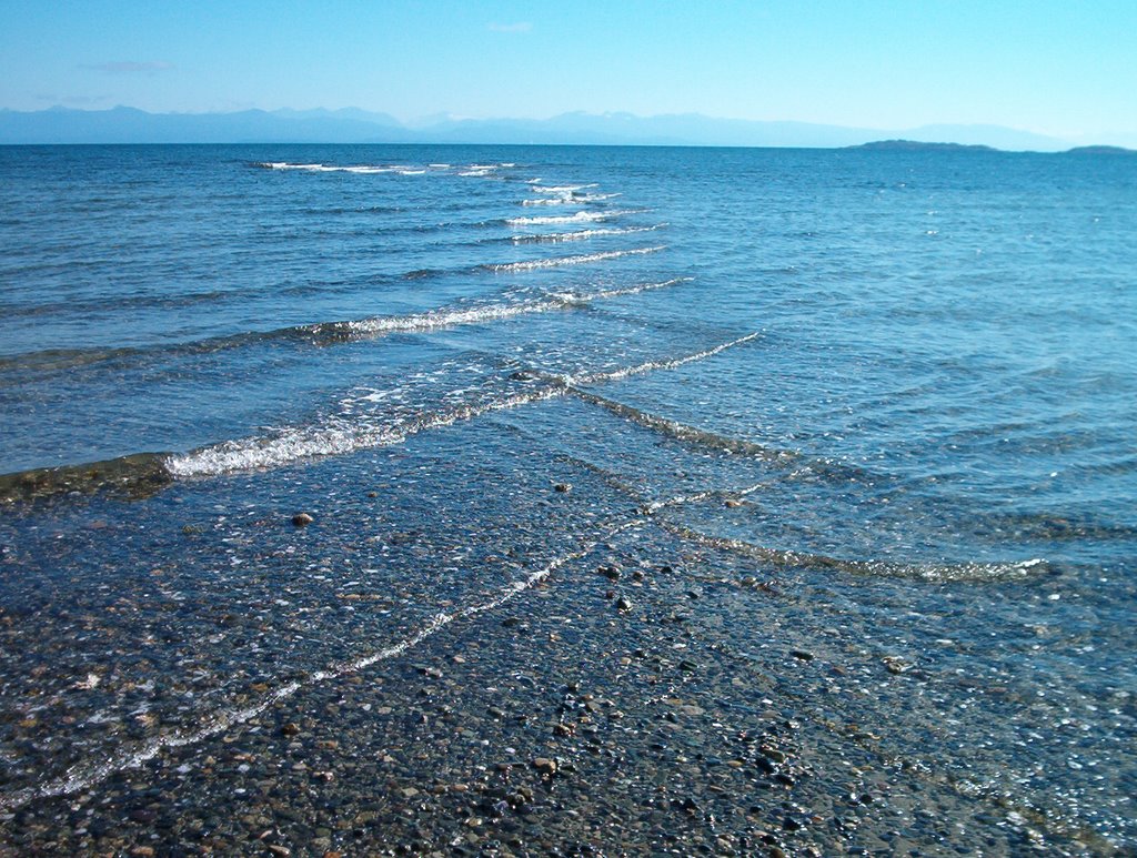 Rathtrevor Beach Provincial Park by Sara O'Neill