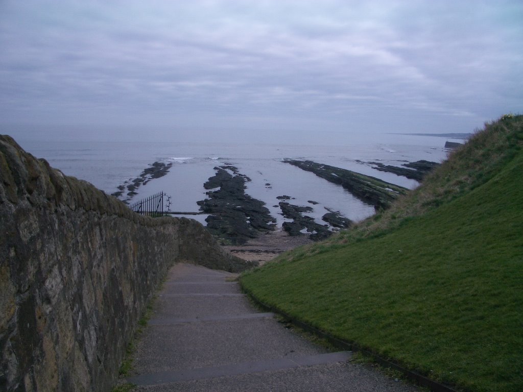 A path to St. Andrews Castle ruins by sainthu