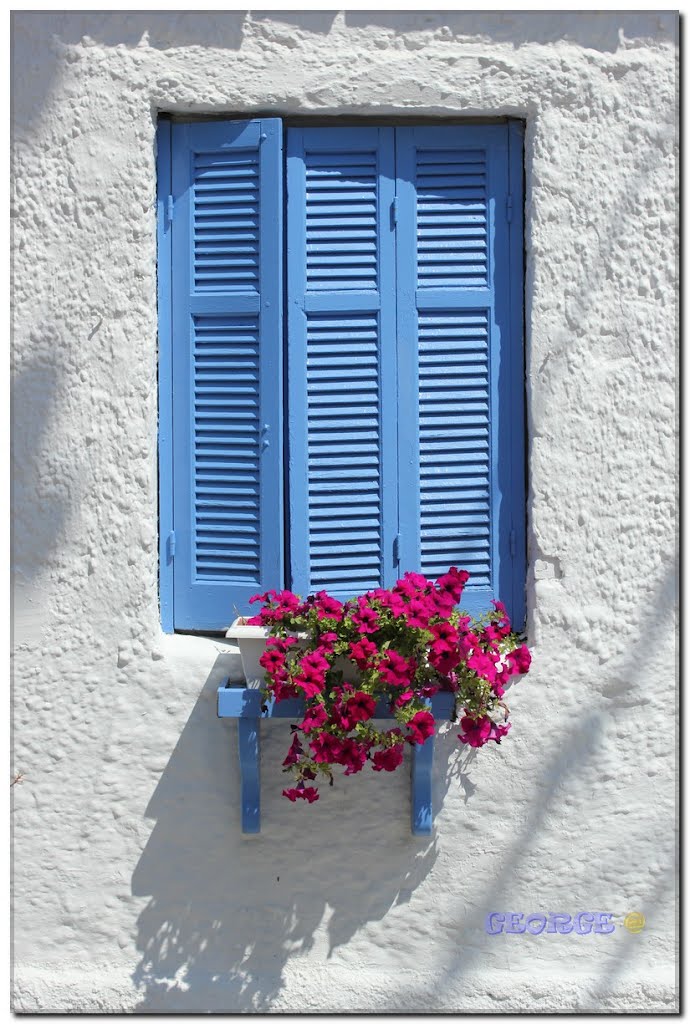 Amazing graphic Red flower & blue window Chalkidiki Halkidiki Χαλκιδική Greece Macedonia by ✩ George @ ♫ *