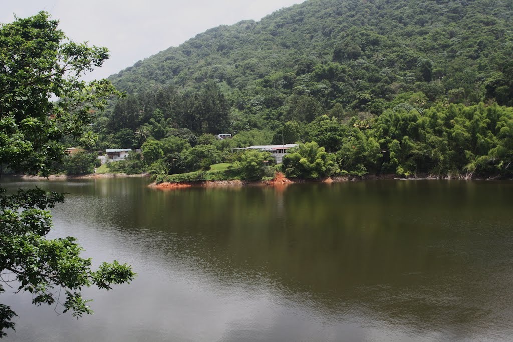 Lago Caonillas-Utuado by Ricardo David Jusino