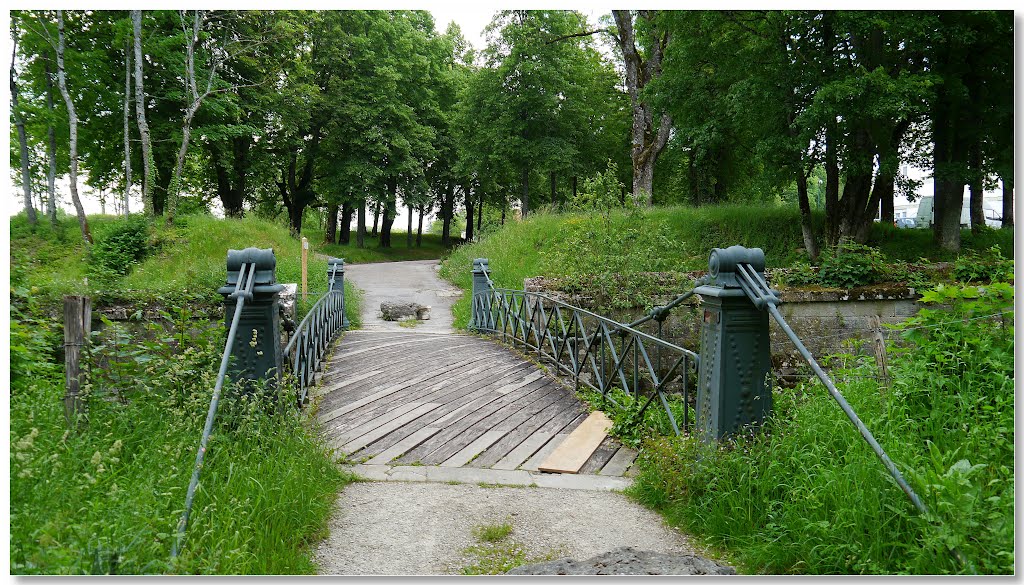 Tp-Foto Die gußeiserne Brücke der Promenade zur Froschquelle by trappresse