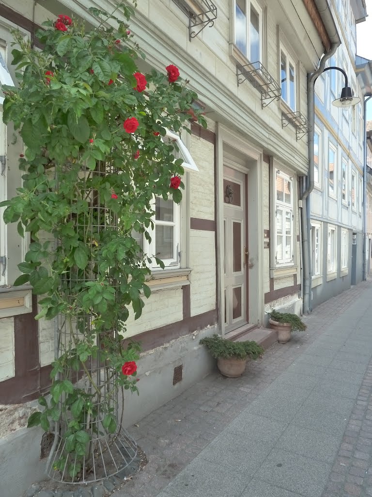 Germany, Wolfenbüttel, just a nice house by aurorajolanda - NO VIEW!