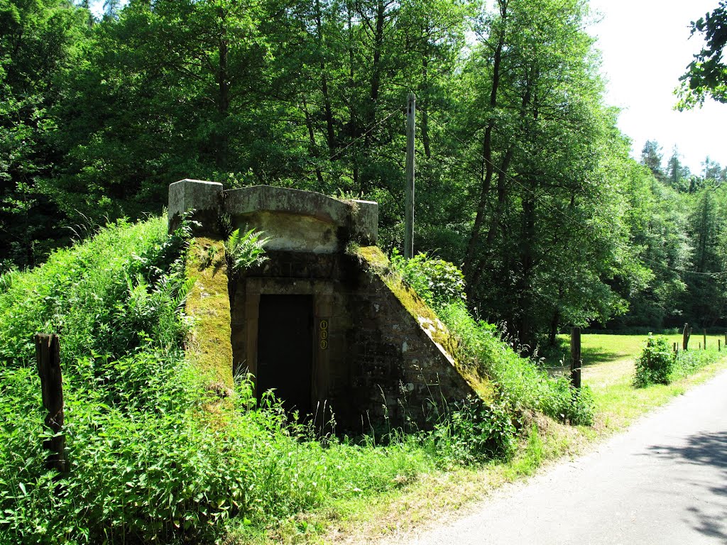 Altes Wasserhäuschen im Kohlgrund by lebola