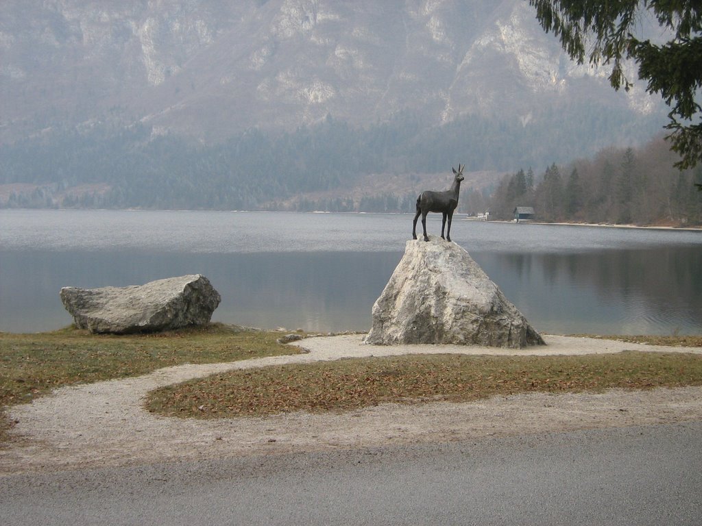 Capricorn in Bohinj (Winter 2007) by Ceks