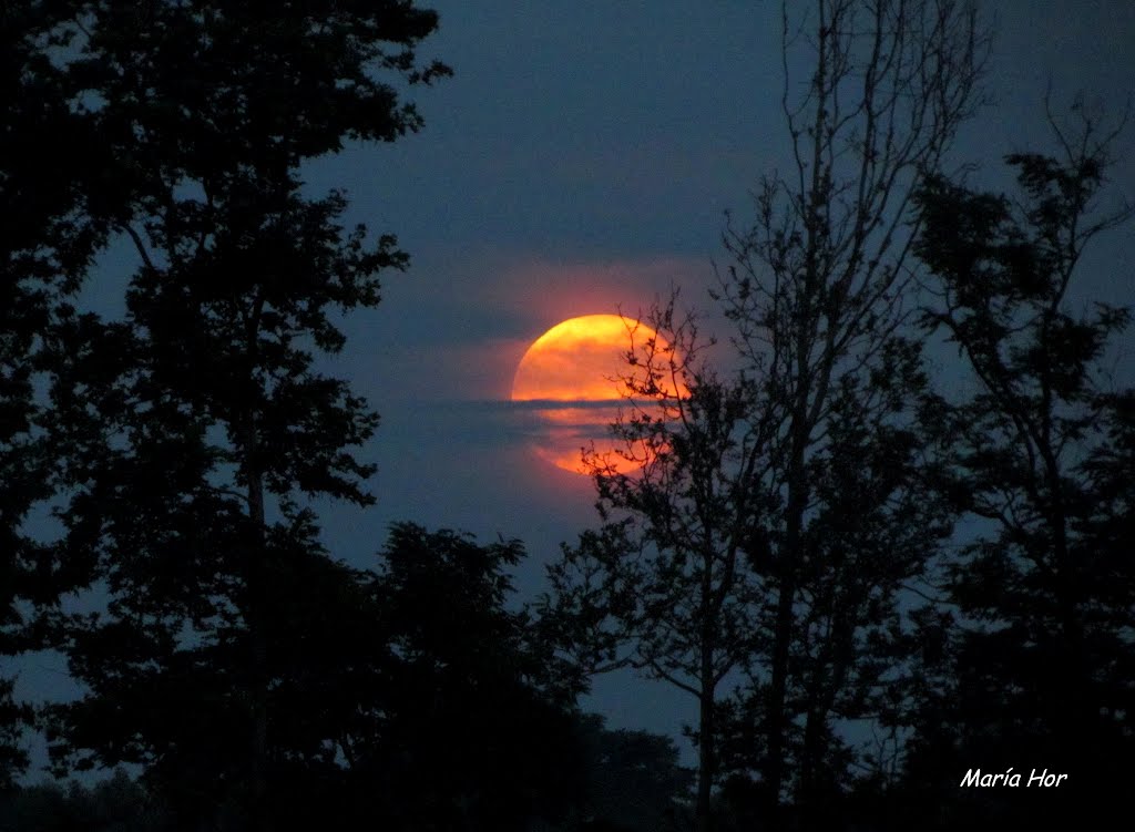 La luna piena (di colori) by MARIA HOR