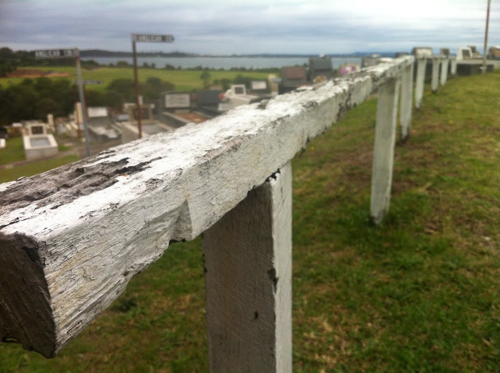 Fence Posts with a view: Eastern Suburbs Cemetery. Ocean views. by Jackson Orlando