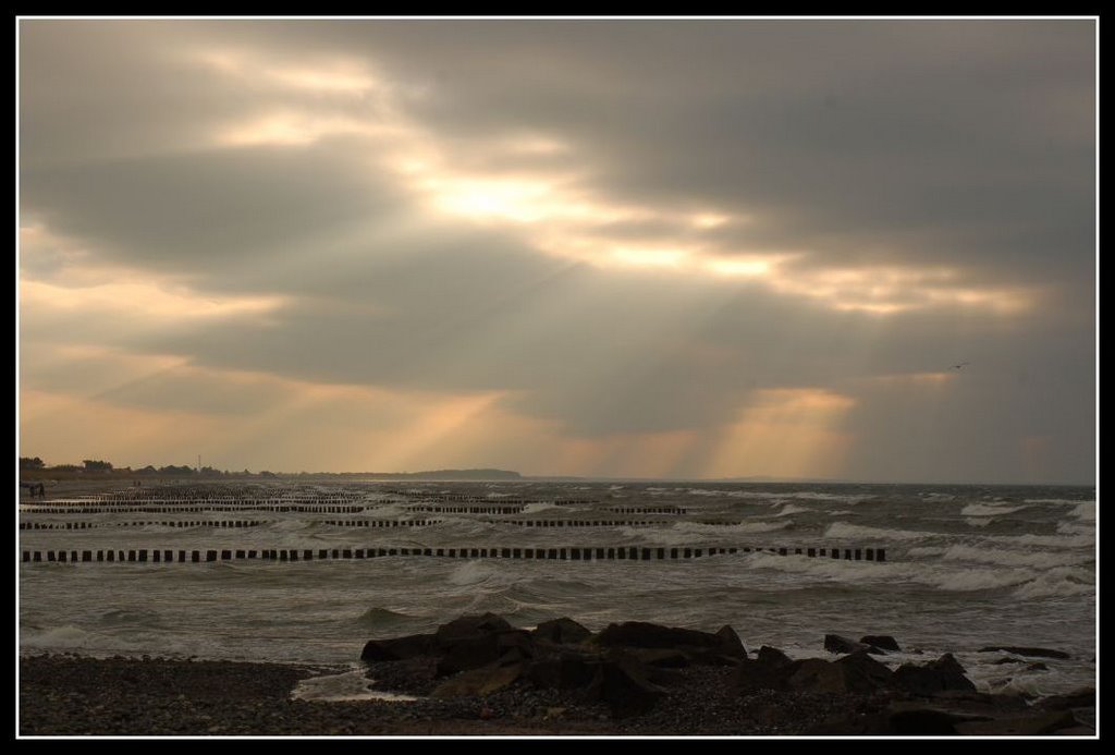 Auf Hiddensee by Angelika