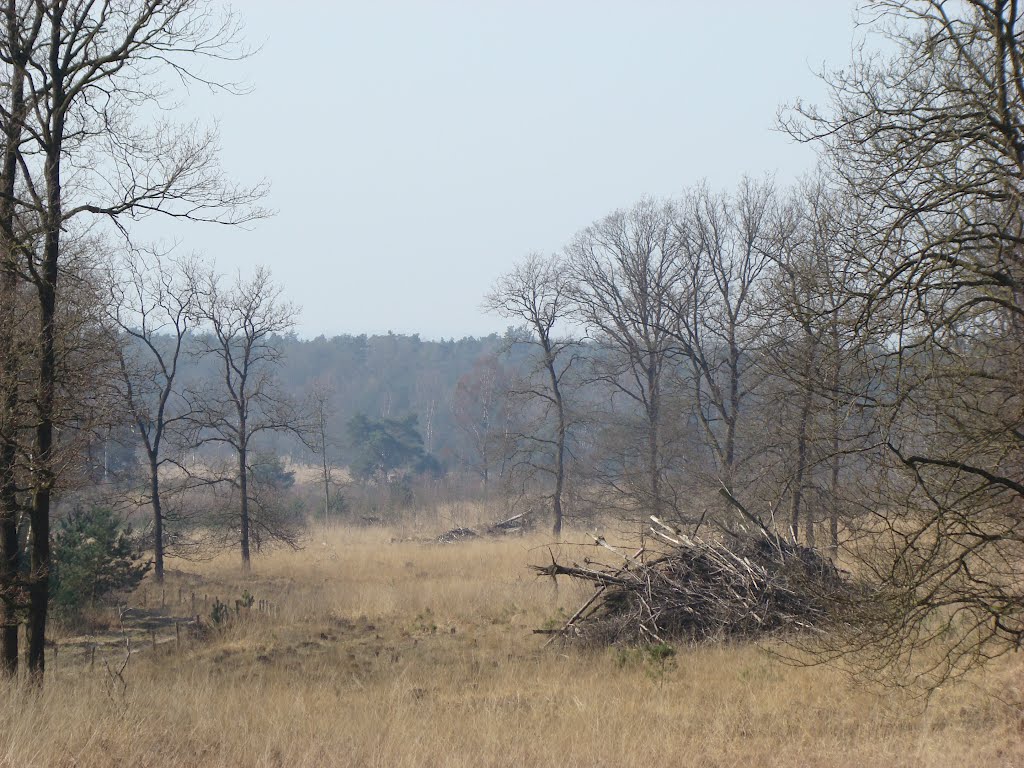 Niederrhein März 2012 by DortmundWestfalica