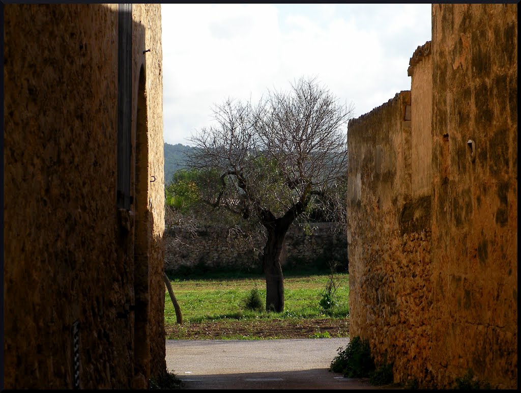 Mallorca, Santa Maria del Cami by Det Lindinger