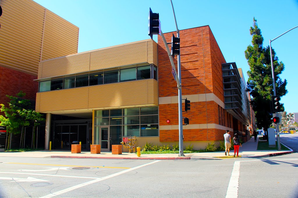 UCLA Campus, Westwood, Los Angeles, California by MICHAEL  JIROCH  &  www.michaeljiroch.com