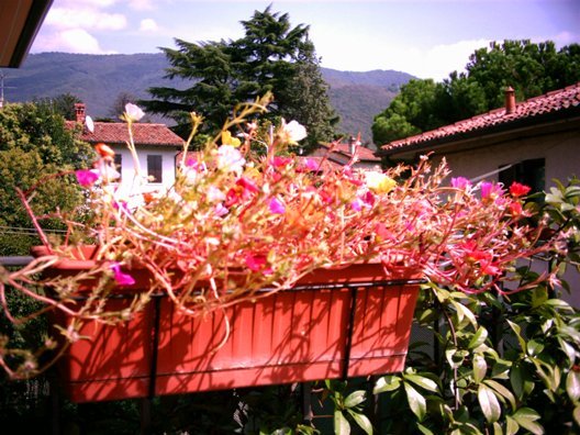 Terrazza d'estate by asciltus