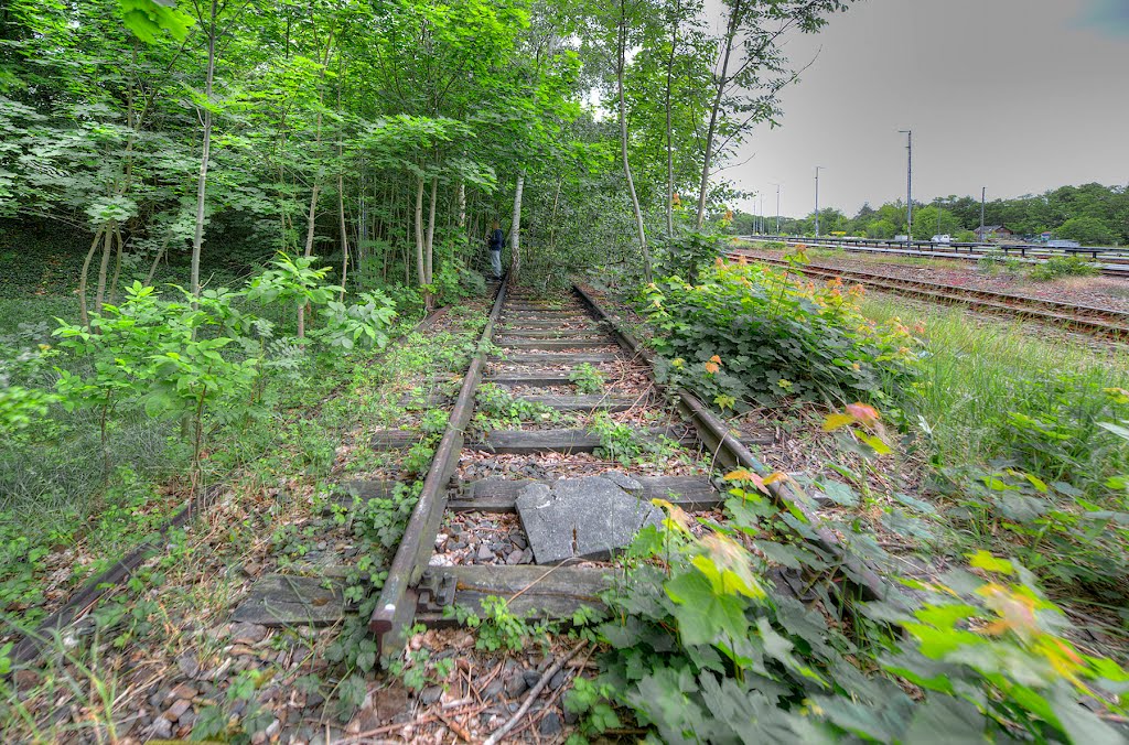 An den alten S-Bahngleisen by DetKan