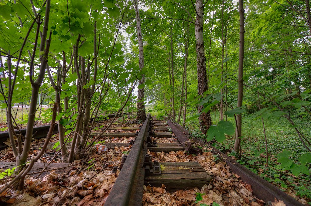 An den alten S-Bahngleisen by DetKan