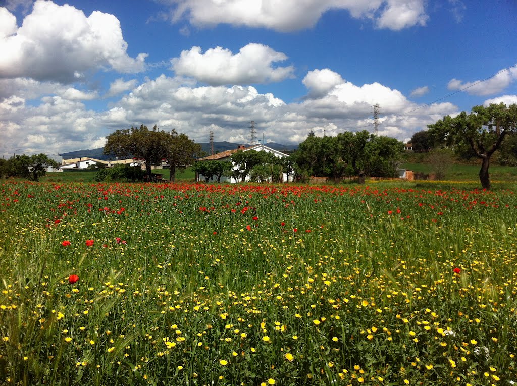 Primavera en Les Franqueses by FlorentinoAlvaLopez