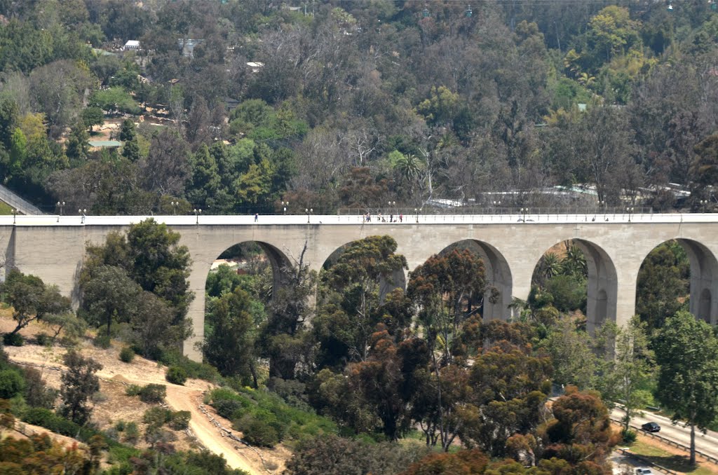 Cabrillo Bridge by Buddy Rogers