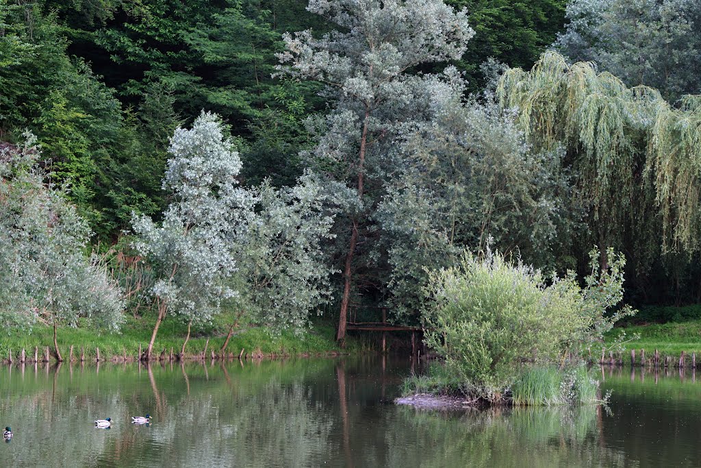 Ribnik Ribiške družine Vevče by pskusek