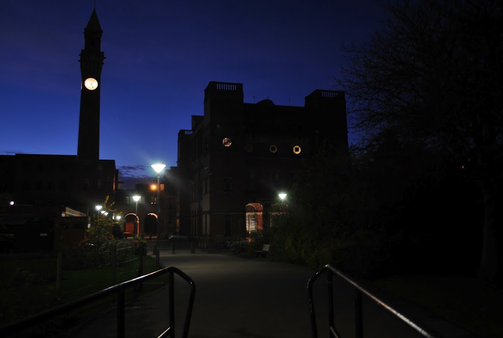 Birmingham University by steve_uk9