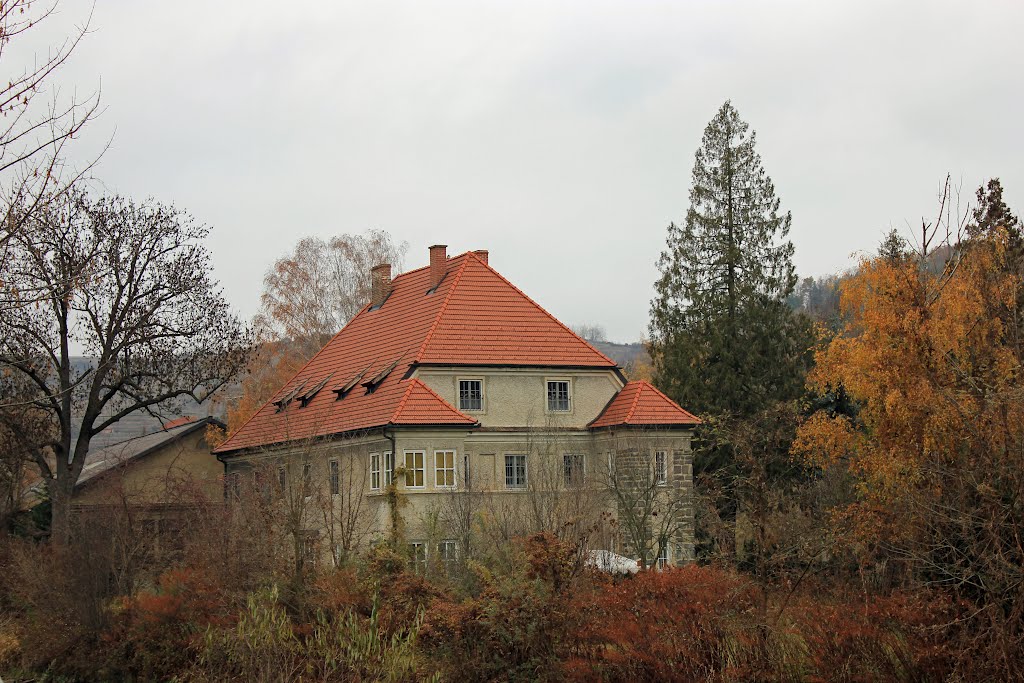 Krems-Rehberg - Märchenschloss by Josef Friewald