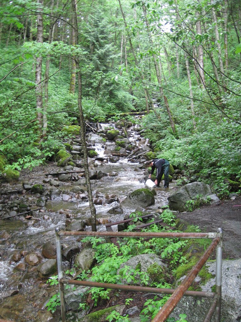 Looking upstream at Scott Creek, from Panorama Drive by niftyniall