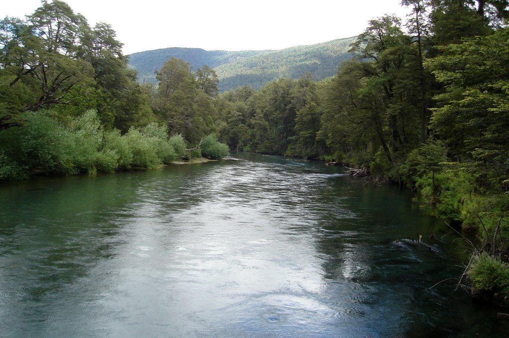 Futrono, Región de los Ríos, Chile by Leandro Otero