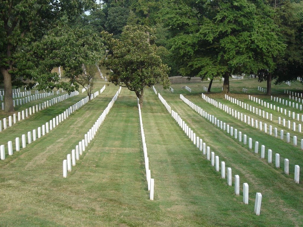 Arlington Cemetery by Heather Billig